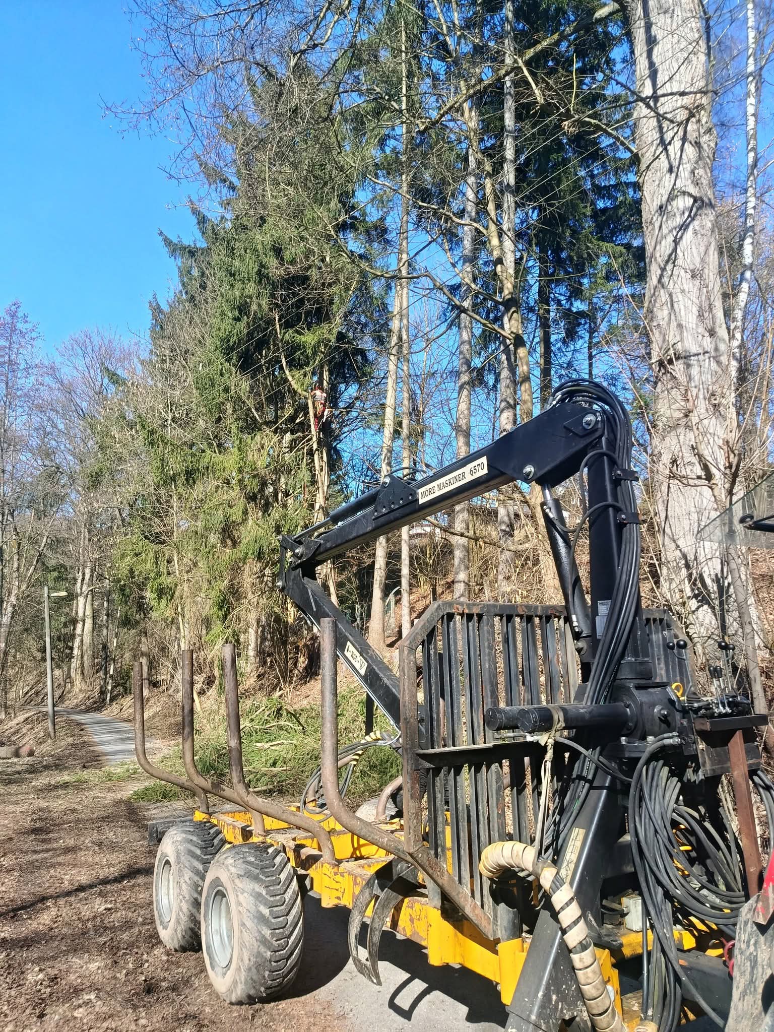 Vyvážečka s hydraulickým jeřábem v lese